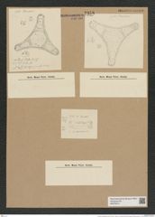 Triceratium fenestratum Witt. (de-Toni-Nr.: Genus 140, Species 3875) Zeichnungen Sammlung Grunow Nr. 7358 (NHMW-BOT-W0376414)